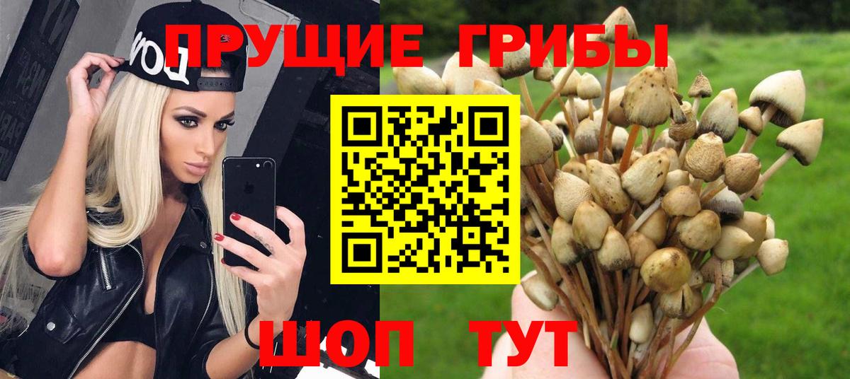 Галлюциногенные грибы ЛСД  Псилоцибиновые грибы прущие грибы  Ахтубинск  Вход с VPN 